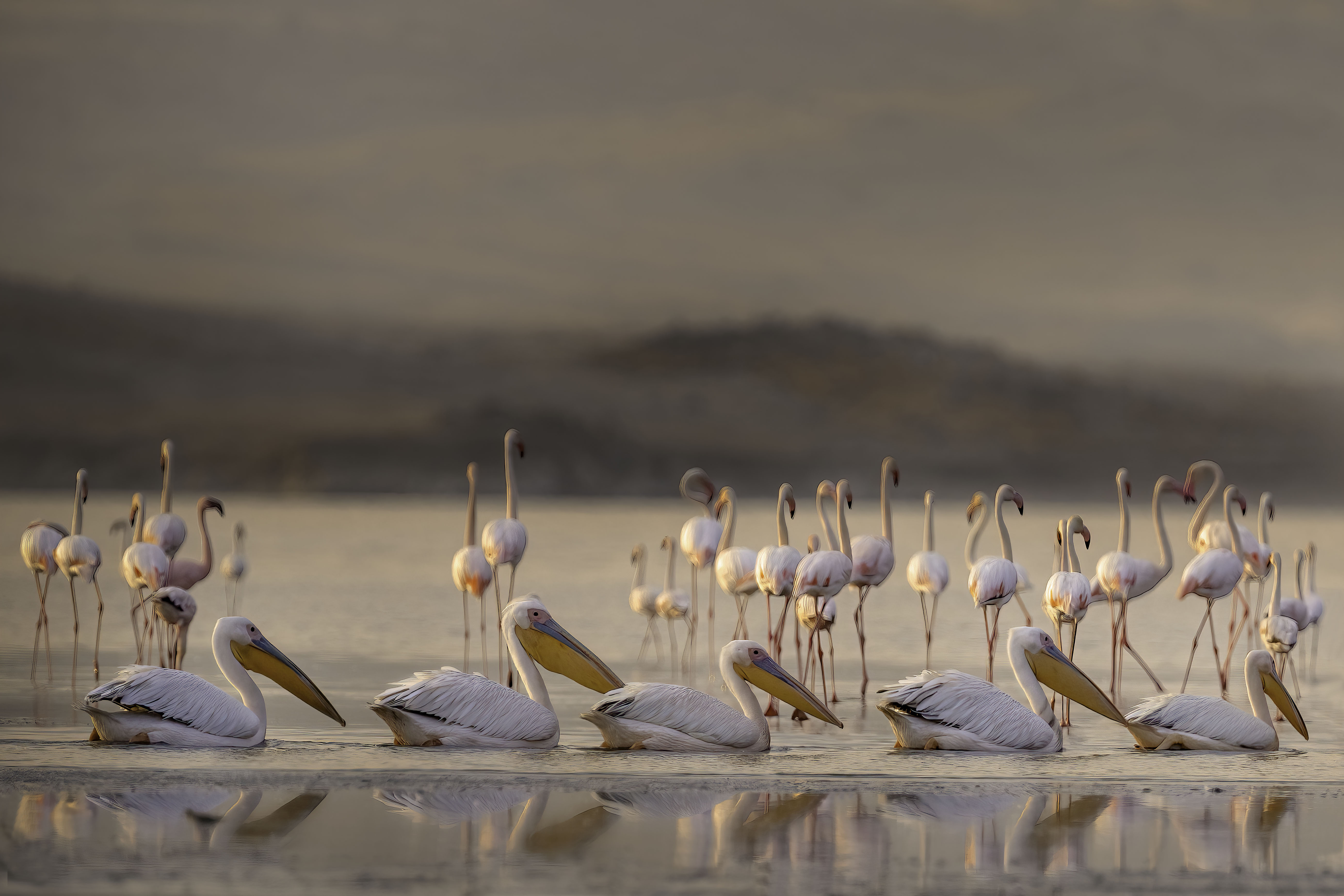 lake manyara