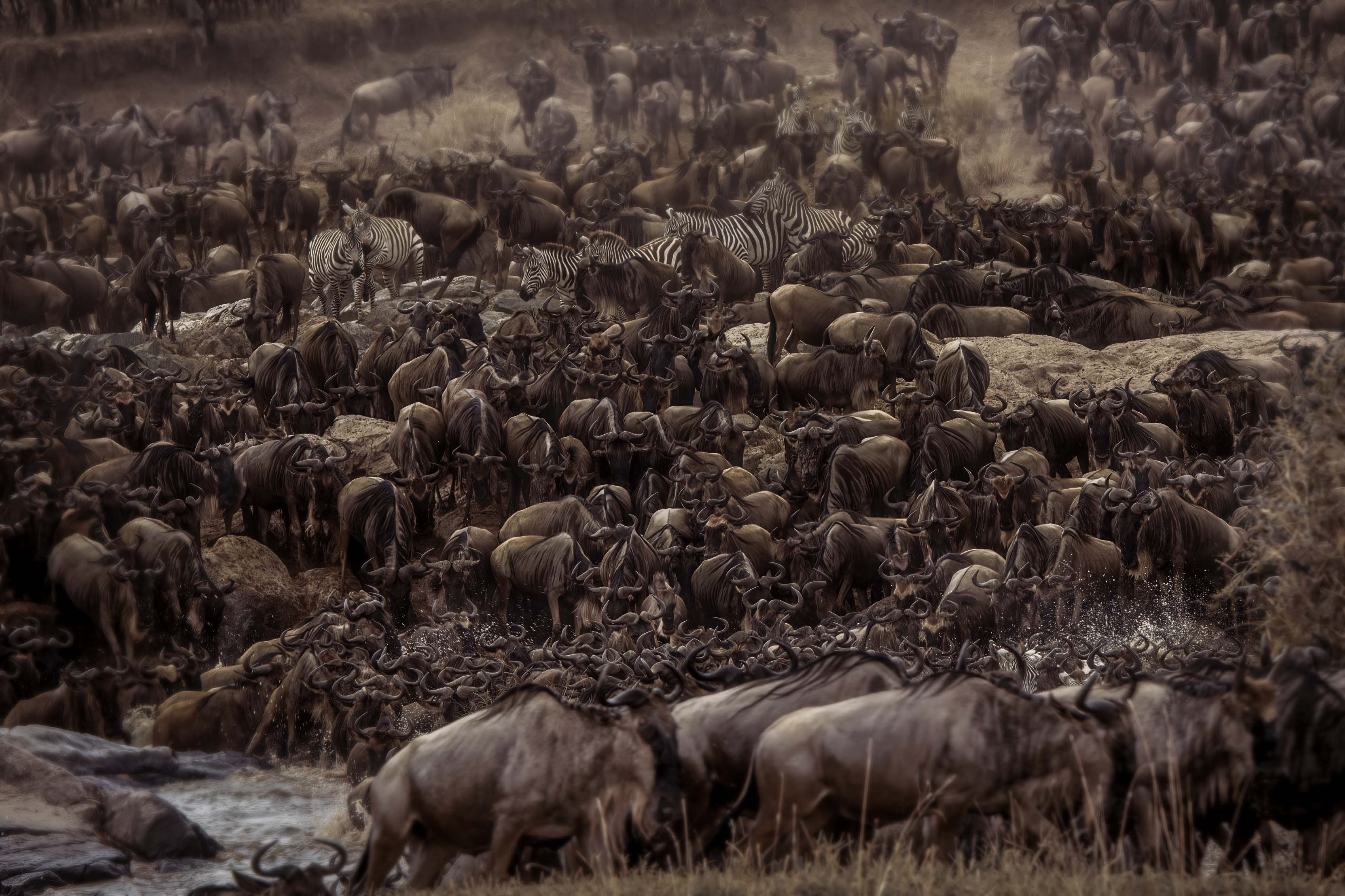 Serengeti Luxury Retreat