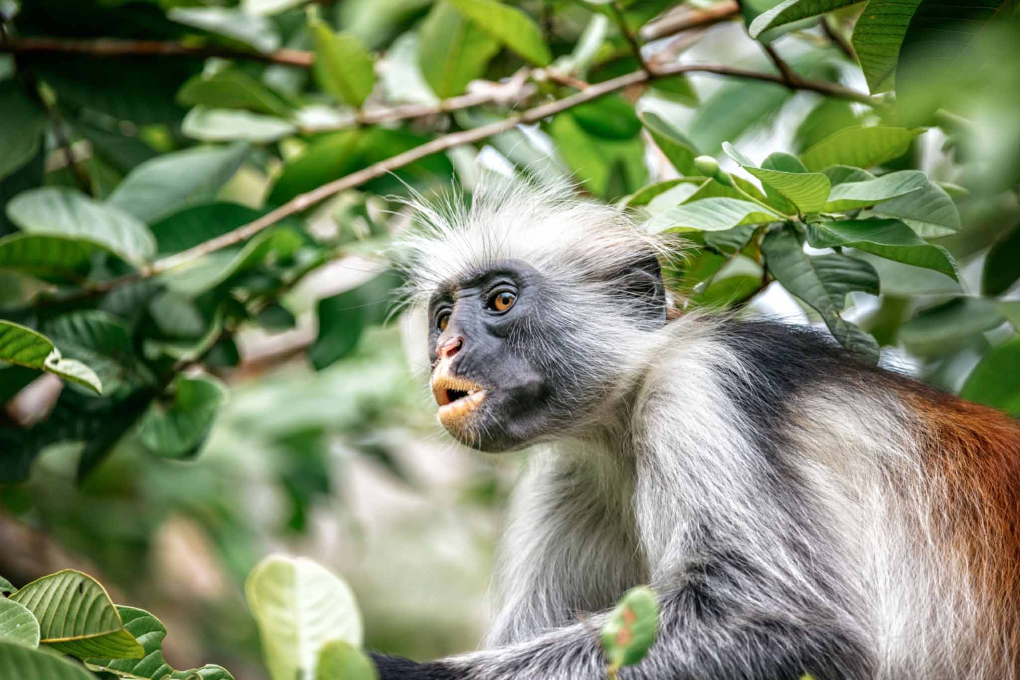 lake manyara