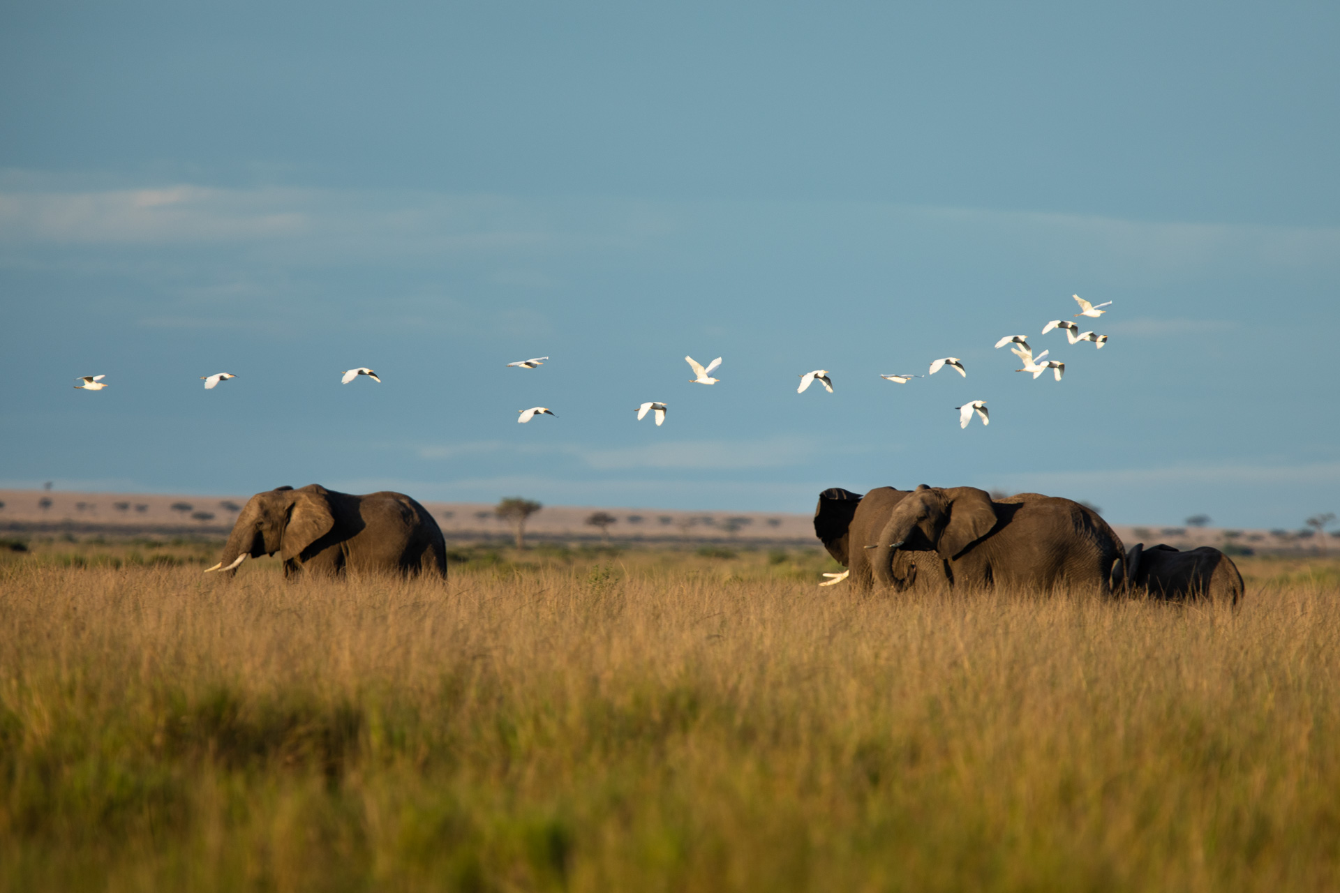 tanzania experience