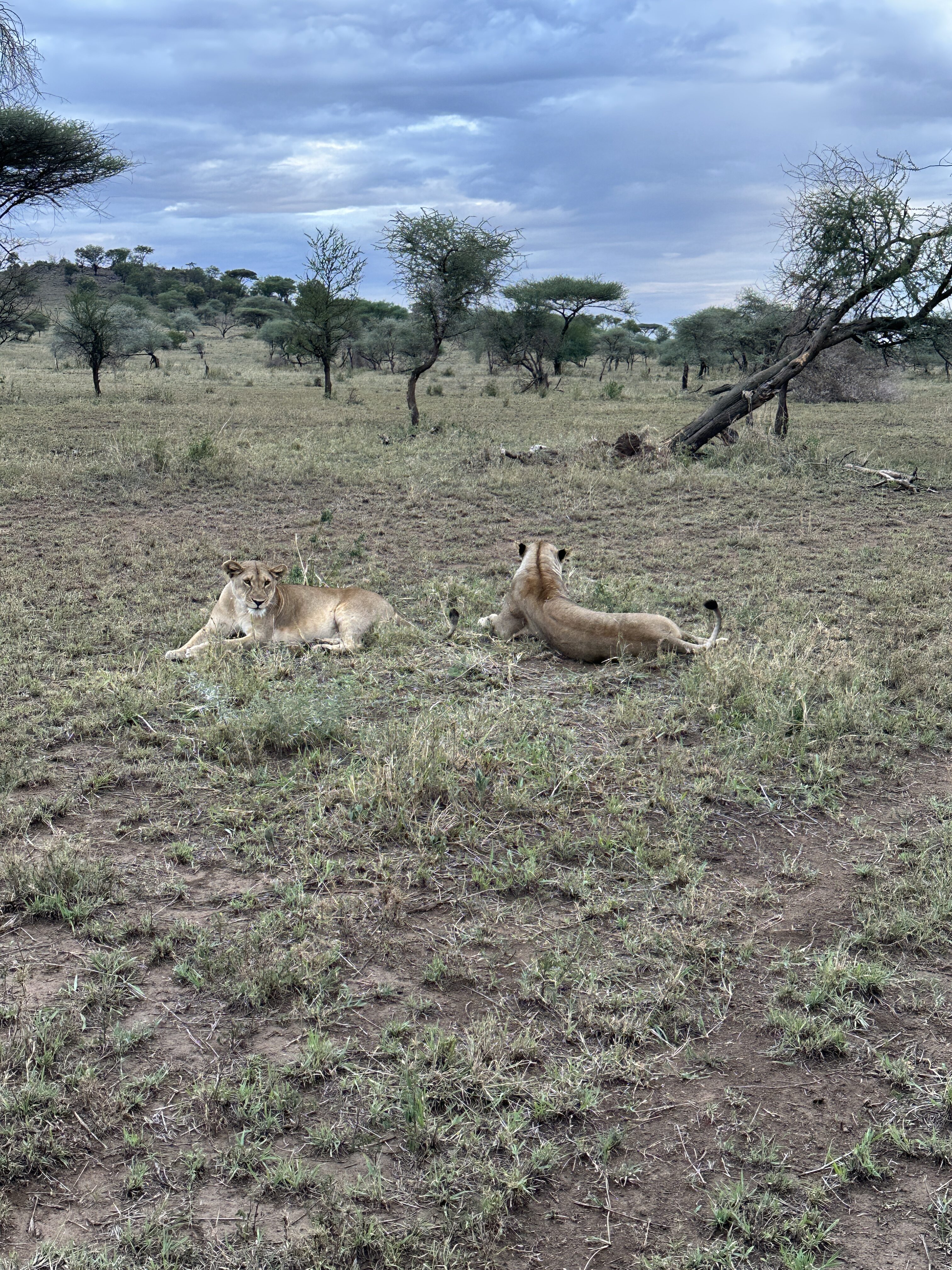 Two people looking at a computer monitor