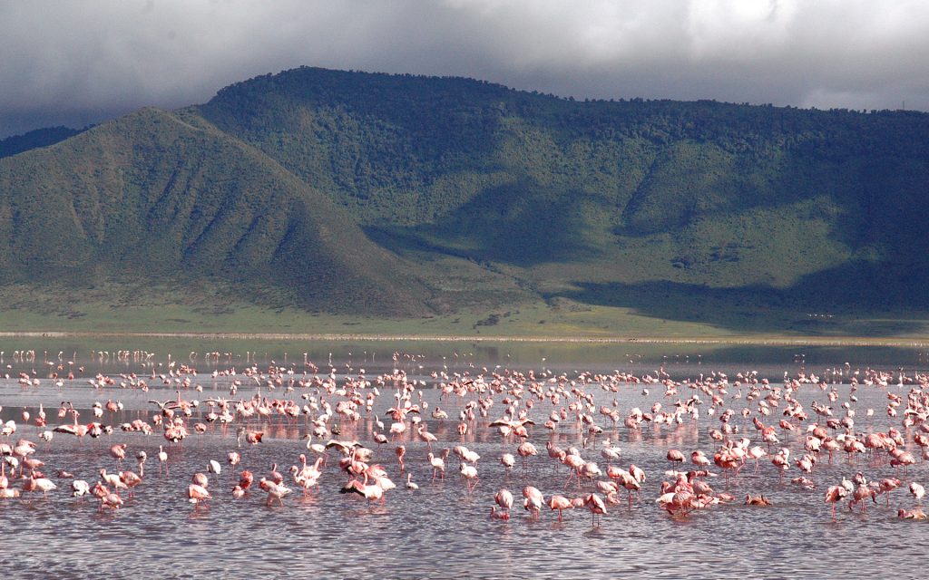 Ngorongoro Crater 