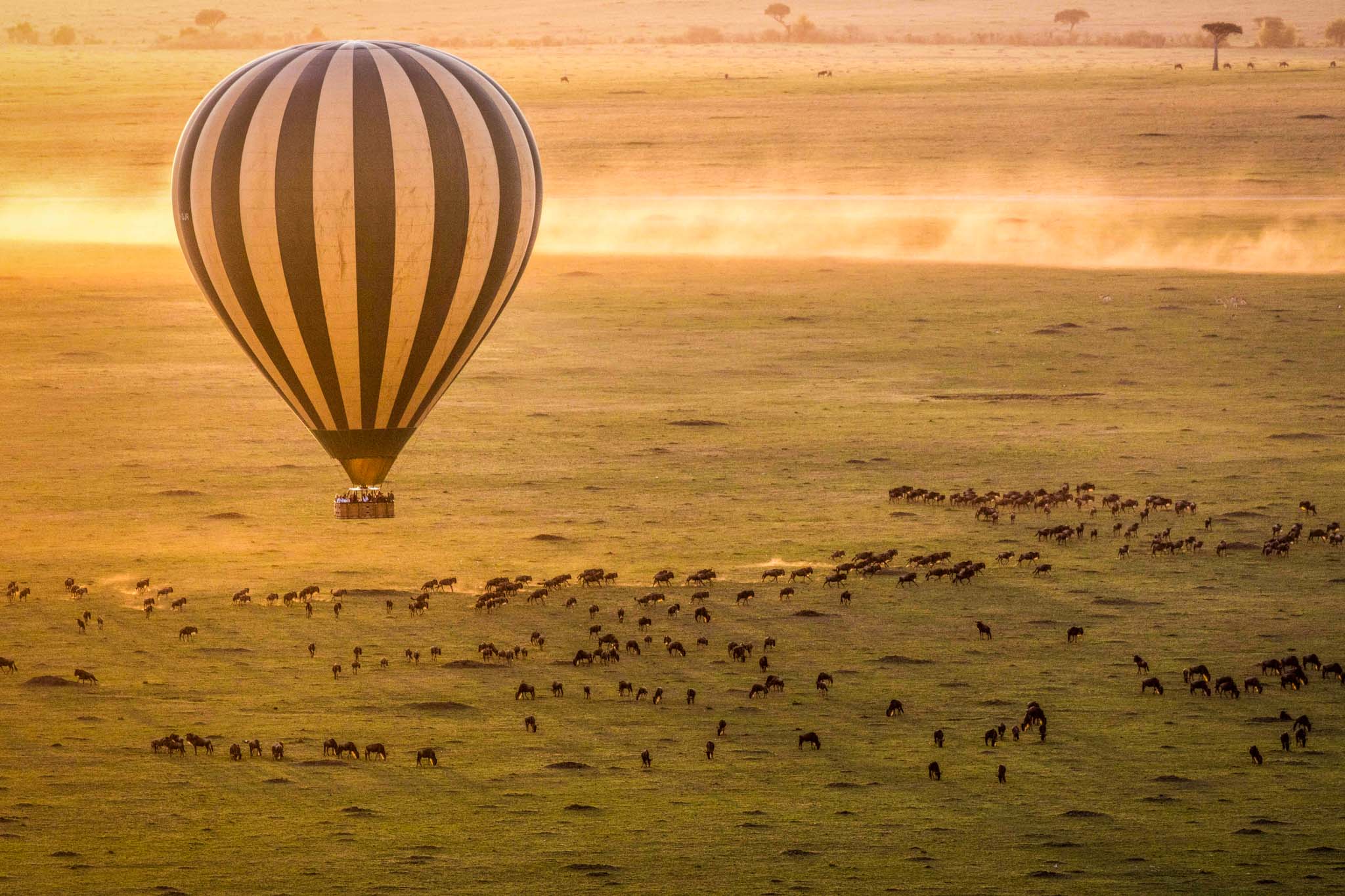 Tanzania Safari Destinations: Exploring East Africa’s Wildlife Havens
