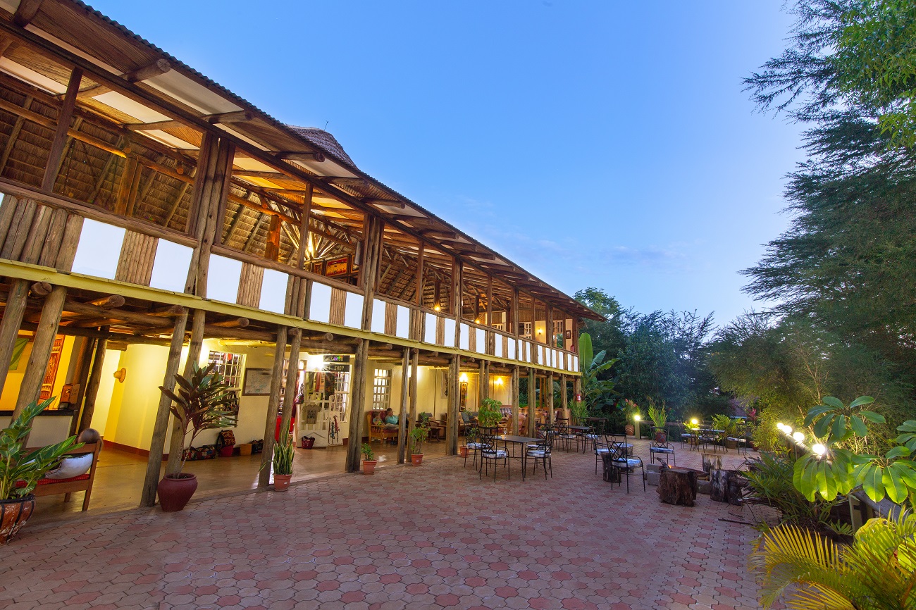 Eileen’s Trees Inn