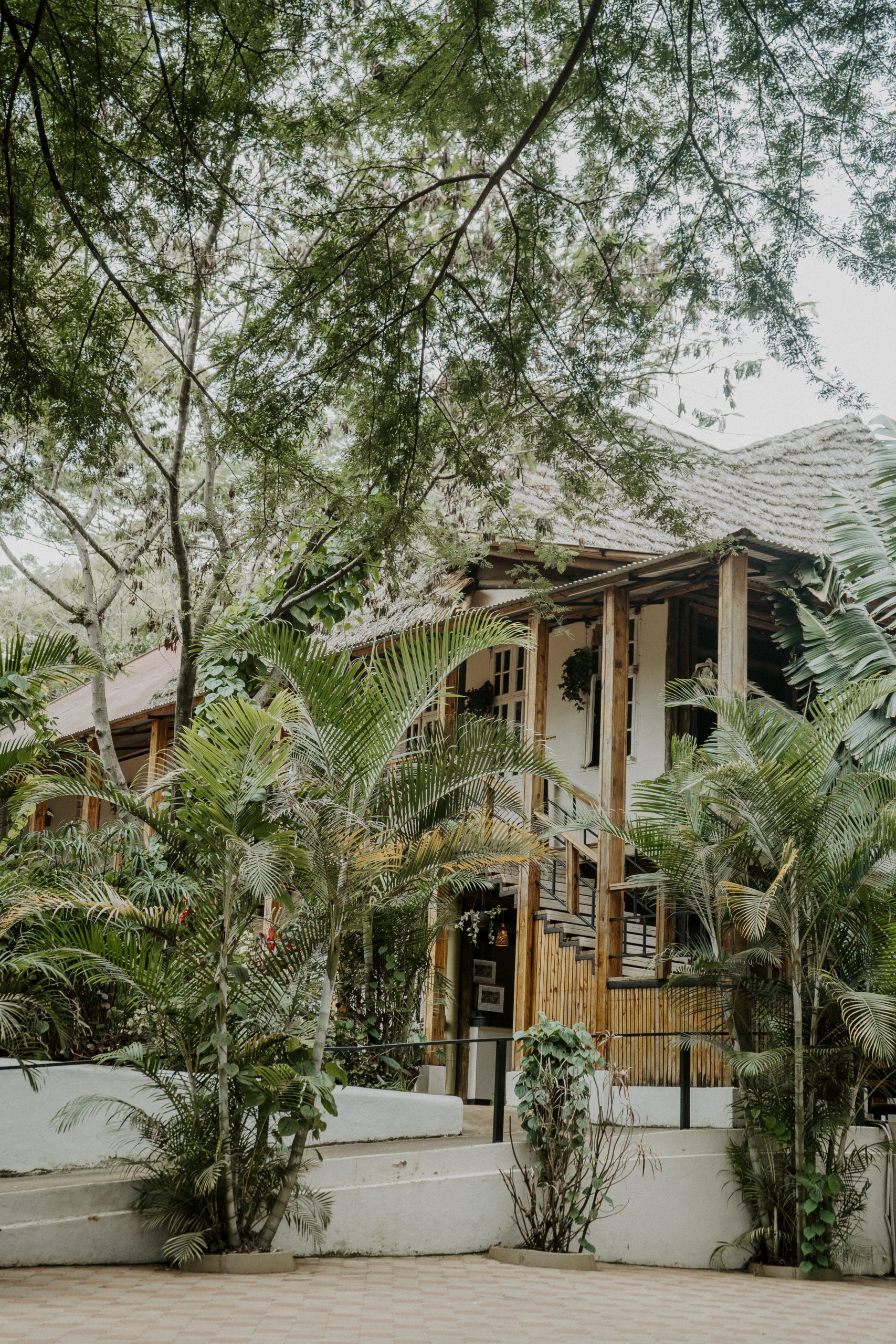 Eileen’s Trees Inn