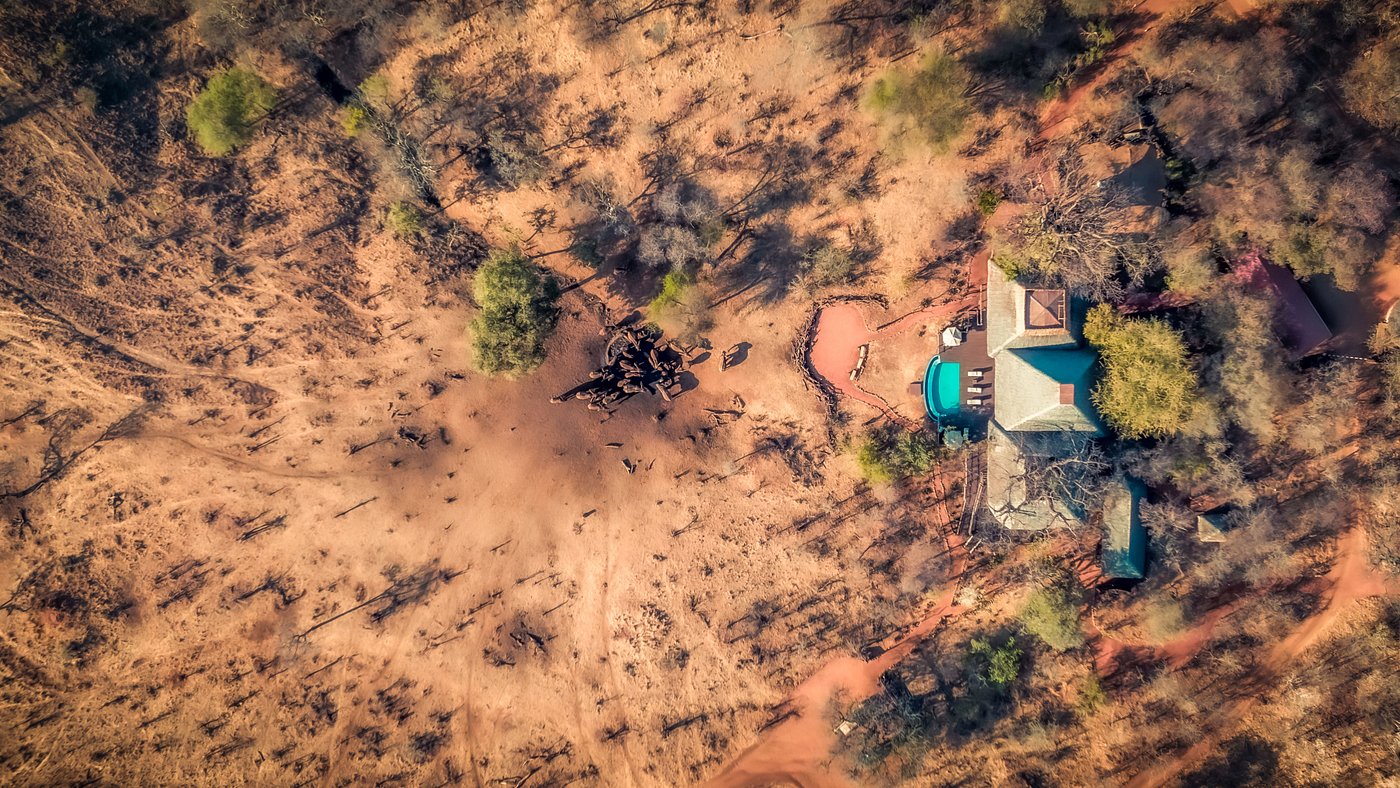 Tarangire Treetops Lodge