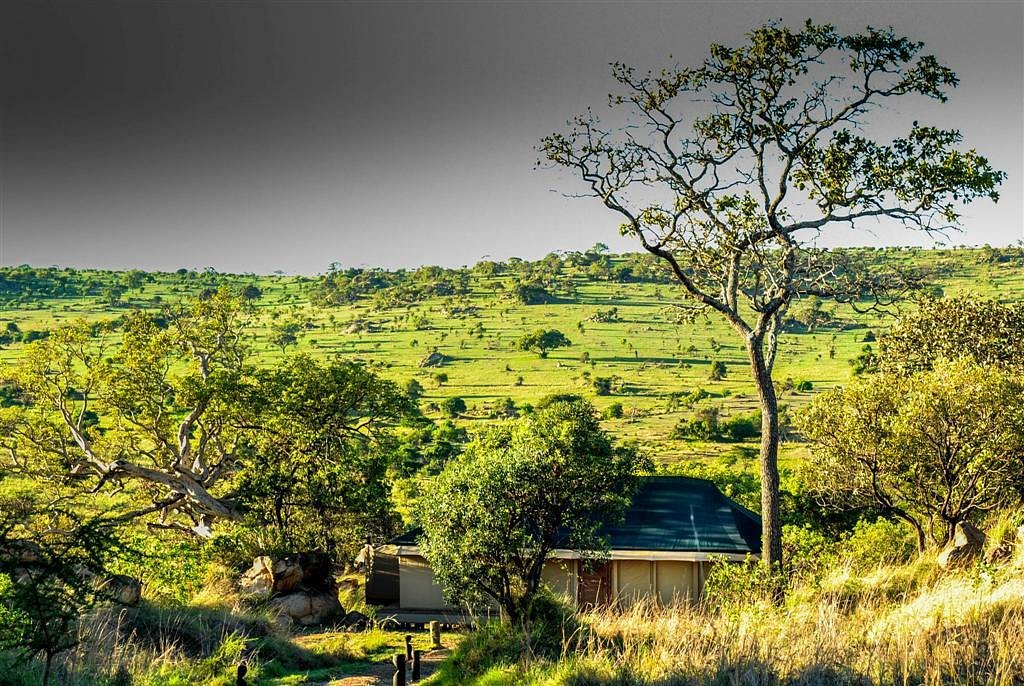 Kuria Hills Lodge Serengeti
