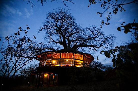 Tarangire Treetops Lodge